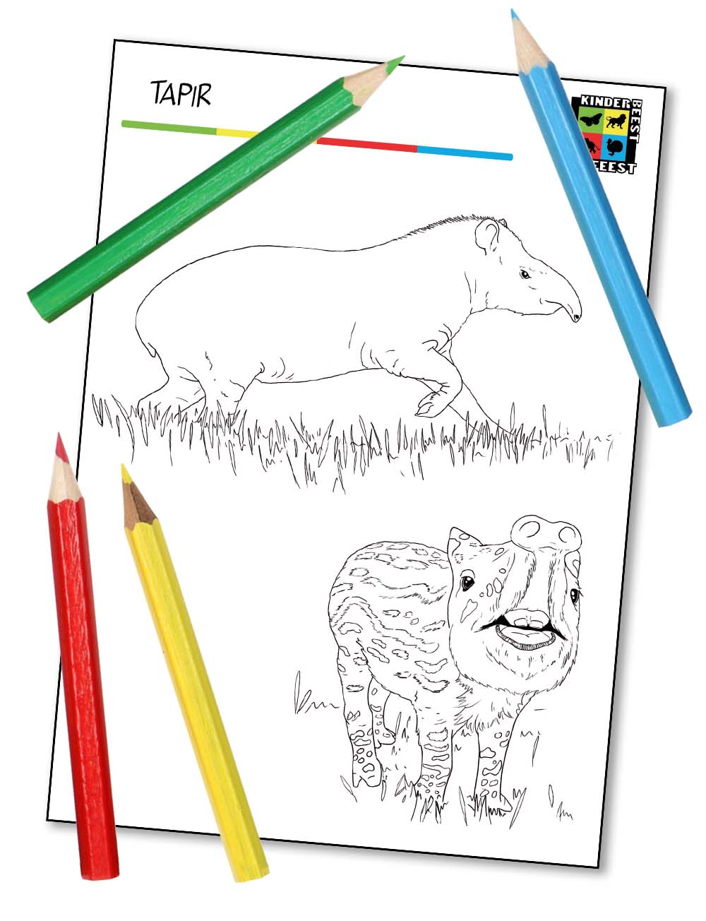 Kleurplaat Tapir