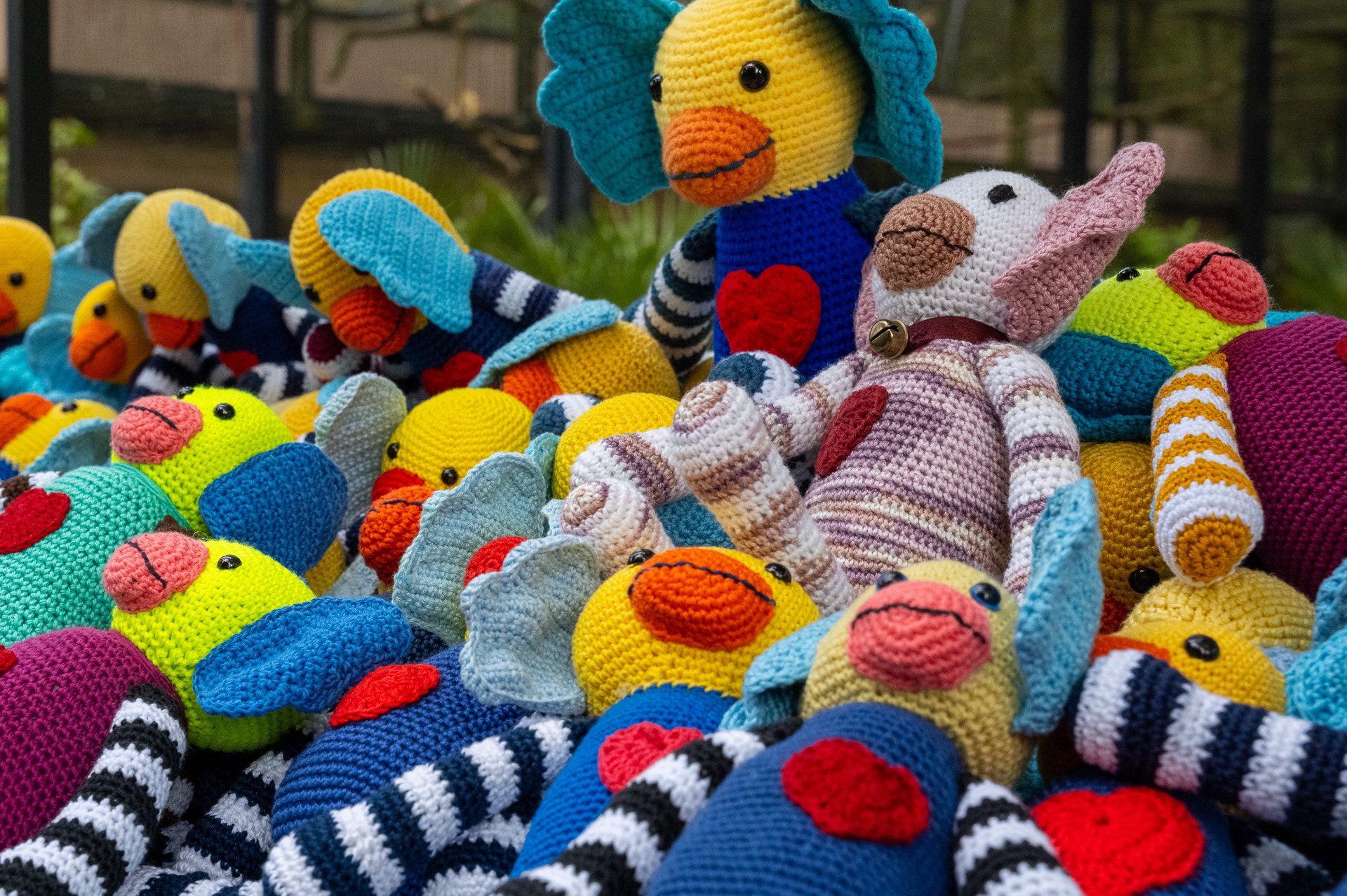 Meerdere soorten koco mascottes liggen bij elkaar